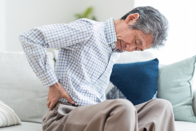 【枚方市】交通事故は首だけじゃない|見落とされやすい「腰のむち打ち」と事故後の腰痛